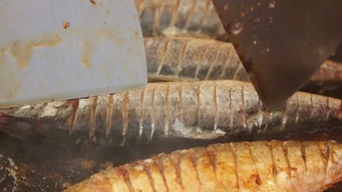 Chef cooking danube shad on a sheet pan Stock Footage 115670628