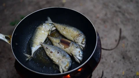 Chef cooking fish fried in pan. Stock Footage 128697294