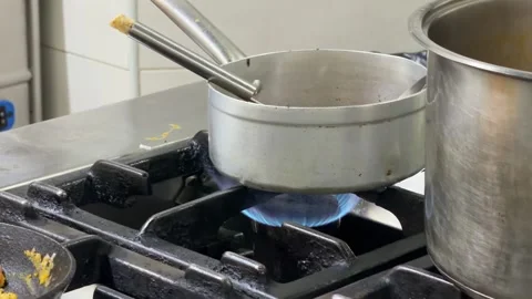 Chef cooking meat and fish on griddle in restaurant kitchen 動画素材 344100247