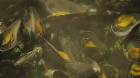 Chef cooking mussels inside a pot in traditional Belgian style Video stock 68714896