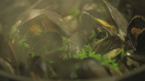 Chef cooking mussels inside a pot in traditional Belgian style Stock Footage 68714897