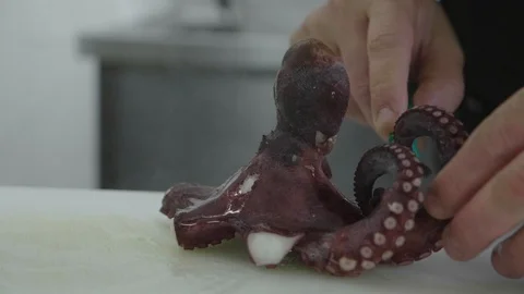 Chef cooking octopus Stock Footage 104103105