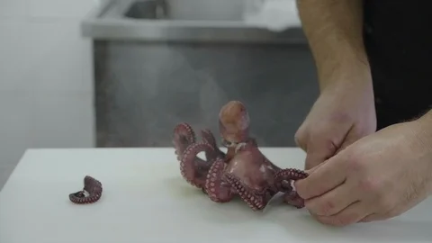 Chef cooking octopus Stock Footage 104103291