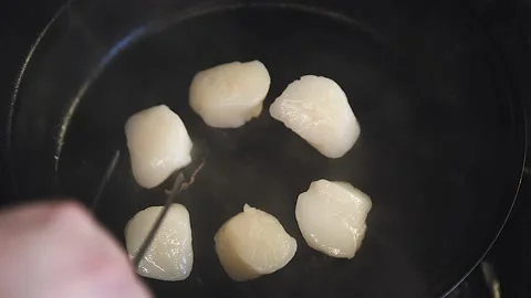 The chef is cooking scallops Stock Footage 130988921