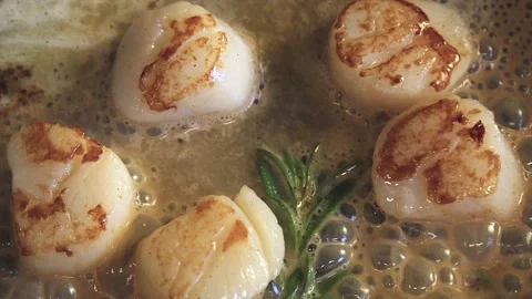 The chef is cooking scallops Stock Footage 130989053