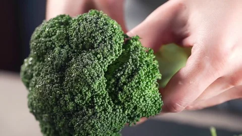 Chef cooks broccoli, vegetable meals and dishes, diet food, proper nutrition Stock Footage 73493740