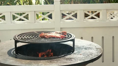 A chef cooks langoustines over a fire. Street food.  Stock Footage 282960634