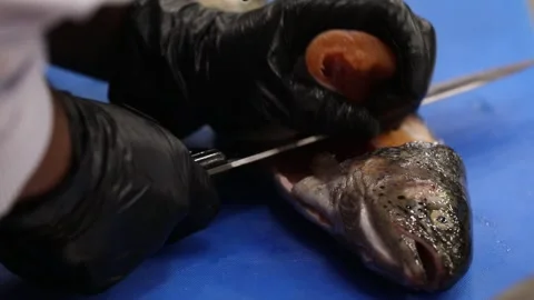 The chef cut off  salmon and remove the thorns 3 Video stock 312931542