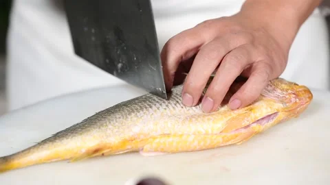Chef cut yellow croaker with a knife (1) Stock Footage 202205987