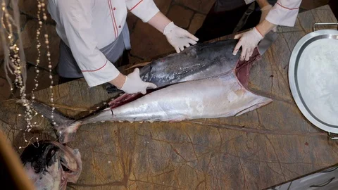 Chef cuts up a big Tuna fish in the restaurant Stock Footage 122036710