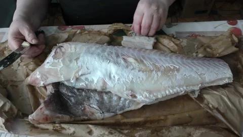 The chef cuts the cod fish into pieces Stock Footage 194155348