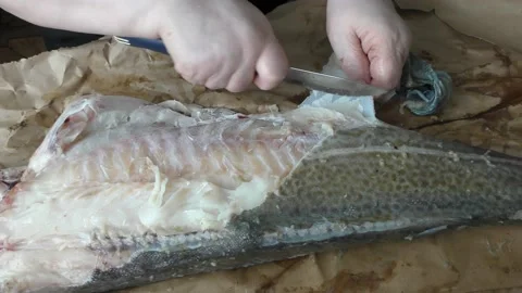The chef cuts fresh cod fish into pieces Stock Footage 173560714
