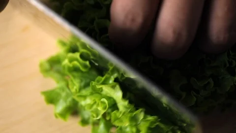 Chef cuts fresh lettuce leaf using the kitchen knife. Slow Motion Stock Footage 118999688