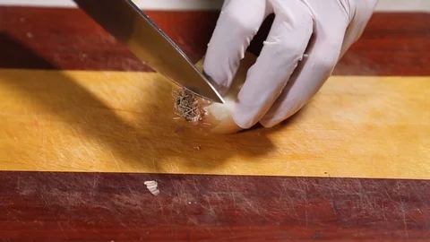 The Chef cuts onions on the Board. Stock Footage 102217159