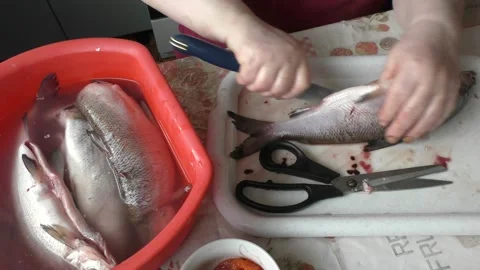 The chef cuts raw fish with a knife Stock Footage 165496044