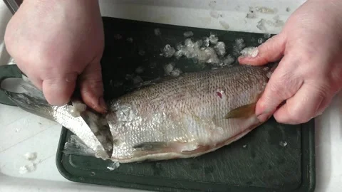 The chef cuts raw fish with a knife Stock Footage 165496563