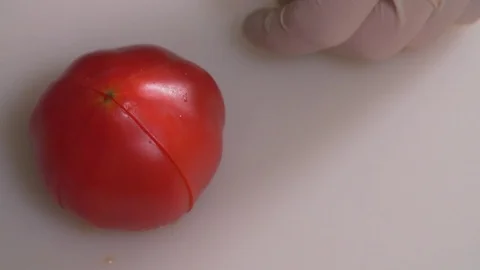 The chef cuts vegetables Stock Footage 83345356