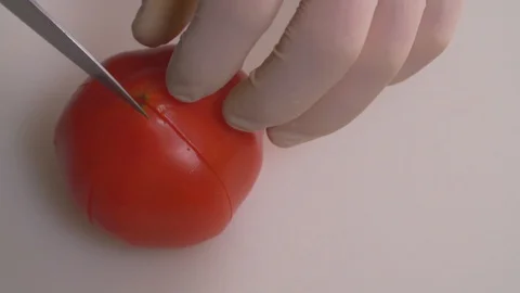 Chef cuts vegetables, peppers, tomato, avocado, healthy food Stock Footage 116684467