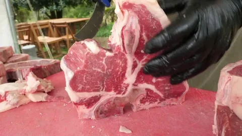Chef Cutting Fresh Raw Ribeye Steak for Outdoor Barbecue Preparation Stock Footage 338213017