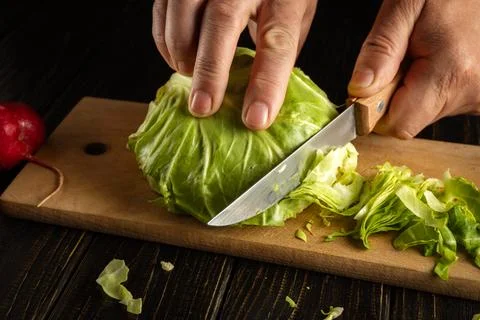 A chef is cutting a head of young cabbage with a knife on a wooden cutting bo Stock Photos