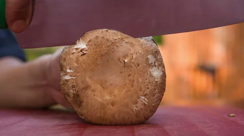 Chef cutting mushroom slice Vidéo 68982848