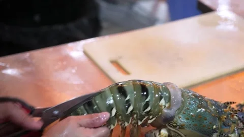 Chef cutting raw spiny lobster with kitchen shears 動画素材 344217367