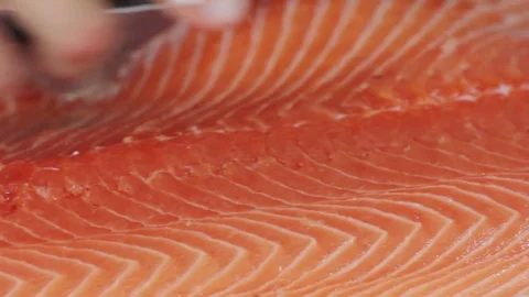 Chef cutting the salmon, preparing salmon Stock Footage 75548264