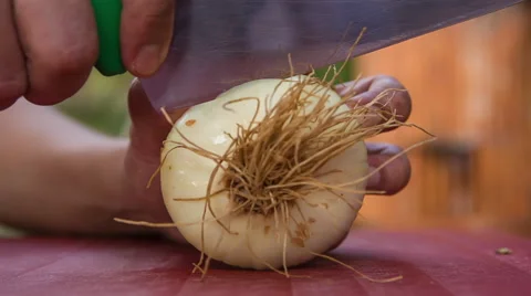 Chef cutting white onion Vidéo 68982808