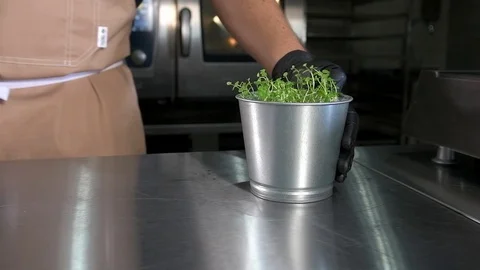 Chef decorates a platter with Greens Stock Footage 97881156
