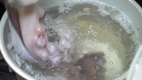 Chef Dipping Fresh Octopus Tentacles into Boiling Water in a Professional Kitche Stock Footage 333526858