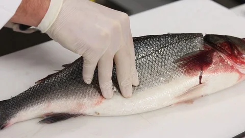 The chef fillets and cleans a fish Stock Footage 121497349