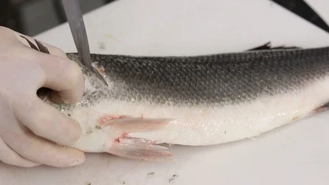 The chef fillets and cleans a fish Stock Footage 121497939