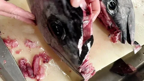 Chef finishes breaking down a bluefin tuna head, collar cross section Stockbeeldmateriaal 339312886