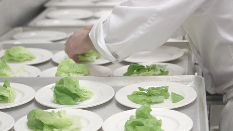 Chef Food Prep Kitchen Lettuce White Dinner Plates Serving Banquet Stock Footage 75394523