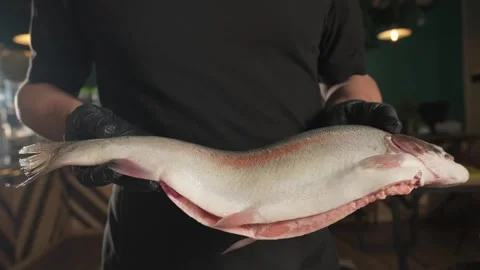 Chef in gloves throwing fish on a tray standing on a table among herbs and Stock Footage 280461444