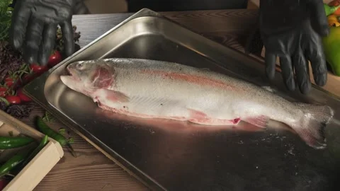 Chef in gloves throwing fish on a tray standing on a table among herbs and Stock Footage 310381918
