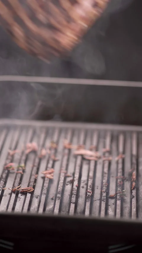Chef grilling beef tenderloin on a steam grill. Summer and grilled meat concept Stock Footage 270246296