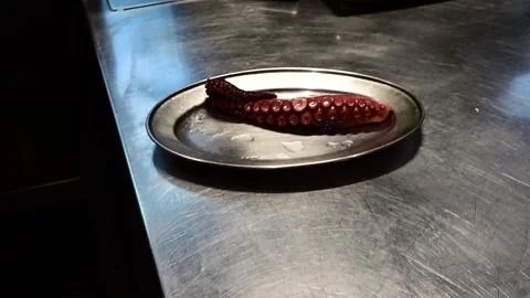 Chef grilling a fresh octopus tentacle on a charcoal barbecue grill Stock-Footage 327114319