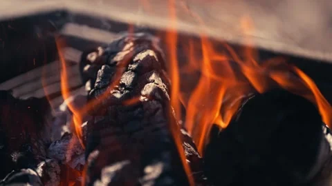 Chef Grilling Meat Seafood Vegetables Outdoor Mountains River Scenic Cinematic Stock Footage 280701696