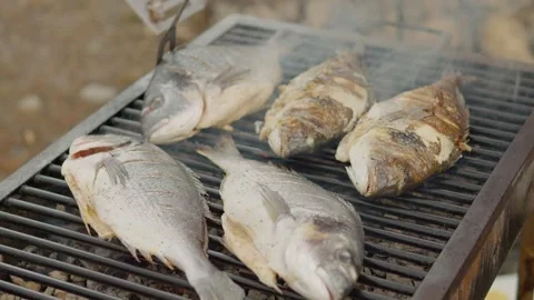Chef grilling sea bream fish on barbecue Stock Footage 302478360