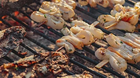Chef grilling skewers of squid with herbs Stock-Footage 295196679