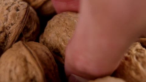 Chef hand makes a organic whole walnut in a nutshell from a pile Stock Footage 279473121