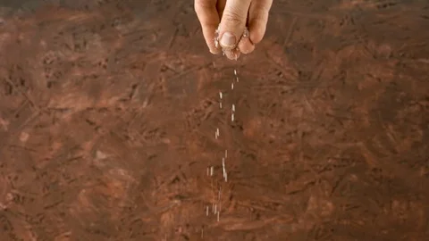 Chef hands adding white salt. Preparing organic fresh food. Stock Footage 127704247