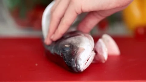 Chef hands are cutting fresh fish on fillets with knife Stock Footage 71158753
