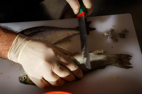Chef hands clean two fish with knife Stock Photos