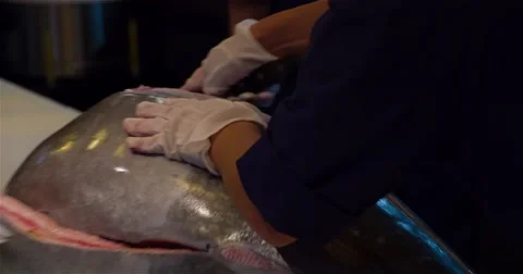 Chef hands cutting with knife big bluefin tuna fish 4k video Japanese cuisine. Stock Footage 67487676