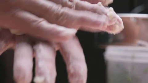 Chef hands doing make Chinese dumplings or steamed Chinese bun with minced pork. Stockbeeldmateriaal 167781476