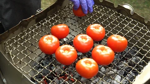 Chef hands with gloves put tomato on grill grid. Handheld shot. Stock Footage 109506109