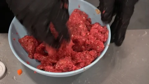 Chef Hands Mixing Meat In Cooking Bowl Vidéo 105881680