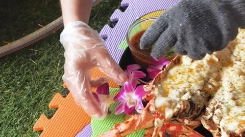 Chef Hands Plating Grilled Cheese Lobster with Orchid Flower Garnish Close Up Stock Footage 344226928